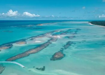 Projeto Rota dos Corais conecta Pernambuco e Alagoas em iniciativa inédita de turismo sustentável no litoral nordestino | ASN Pernambuco