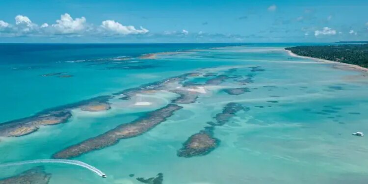 Projeto Rota dos Corais conecta Pernambuco e Alagoas em iniciativa inédita de turismo sustentável no litoral nordestino | ASN Pernambuco